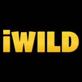 iWild Casino logo platformy hazardowej